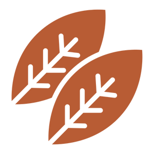 25 Ayurvedic Herbs